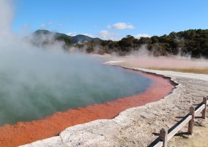 Waitomo - Rotorua (150 Km).jpg