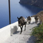 I "taxi" di Santorini