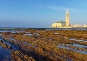 Marrakech - Casablanca (250 Km).jpg