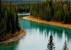 Jasper - Shuswap Lake (440 Km).jpg