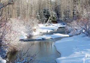 Shuswap Lake - Whistler (295 Km).jpg