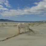 Luskentyre Beach