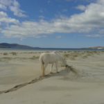 Luskentyre Beach