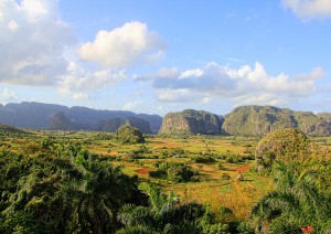 Havana / Escursione A Viñales (9-10 Ore).jpg