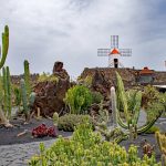 Jardin de Cactus