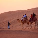 Giro nel deserto a dorso di cammello