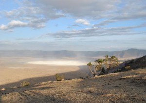 Parco Del Serengeti - Cratere Del Ngorongoro.jpg