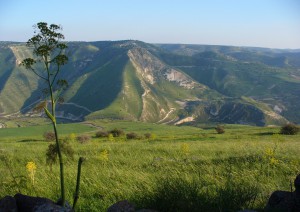 Cafarnao - Alture Del Golan - Safad - Nazareth.jpg