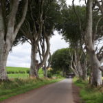 Dark Hedges