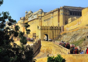 Jaipur: Amber Fort.jpg