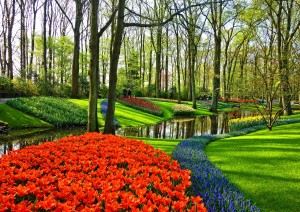 Amsterdam: Visita Del Parco Keukenhof.jpg