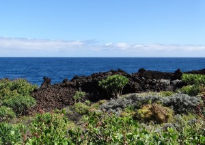 La Palma (volo) Italia.jpg