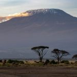 Amboseli