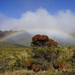 Panorami a Maui