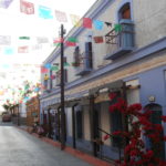 Una strada di Todos Santos