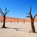 Dead Vlei