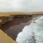 Paracas, tour alle isole Ballestas