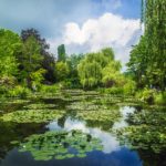 Uno scorcio di Giverny che sembra un quadro