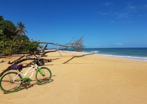 Panama City (volo) Bocas Del Toro (isla Còlon).jpg