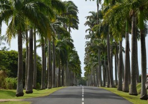 Pointe-à-pitre - Le Gosier (10 Km).jpg