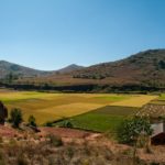 Paesaggio di campagna