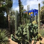 Giardino Majorelle