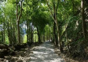 Hellfire Pass - Saiyok Noi - Nakornpathom - Bangkok.jpg