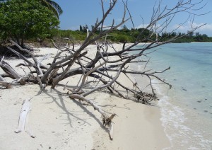 Koh Samui.jpg