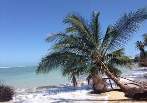 Arenal - Playa Tamarindo  (215 Km / 2h 30min).jpg