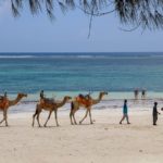 La spiaggia di Diani