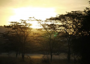 Kigali - Kisoro.jpg