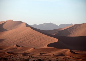 Deserto Del Kalahari - Deserto Del Namib (350 Km / 4h) .jpg