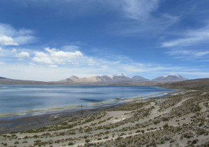 Putre - Parco Nazionale Di Lauca - Putre (90 Km).jpg