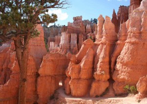 Bryce Canyon - Los Angeles.jpg