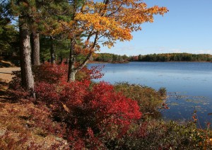 Acadia National Park.jpg