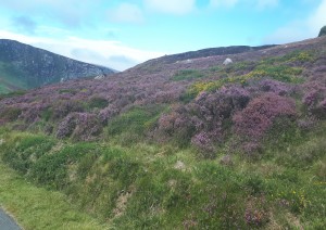 Dublino - Bre - Greystones (70 Km / 1h 20min).jpg