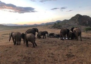 Lago Nakuru - Parco Amboseli.jpg