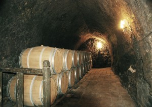 Treno Turistico, Degustazioni In Cantina, Crociera Sul Douro.jpg