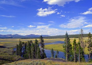 Jackson - Grand Teton National Park - Jackson.jpg