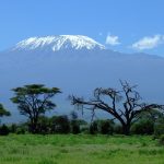 Veduta del Kilimanjaro