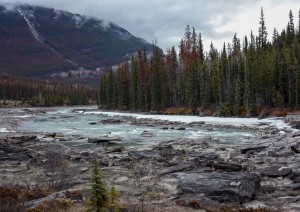 Lake Louise - Jasper (235 Km).jpg