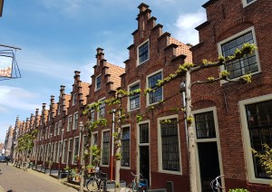 Amsterdam: Escursione A Haarlem.jpg