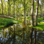 Parco Keukenhof