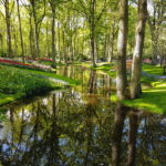 Parco Keukenhof