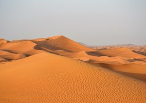 Dubai: Safari Nel Deserto.jpg