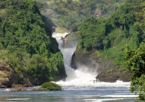 Kampala - Murchison Falls National Park.jpg