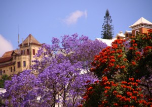 Antananarivo.jpg