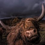 Highlands