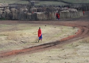 Karatu - Arusha - Aeroporto (circa 3h).jpg