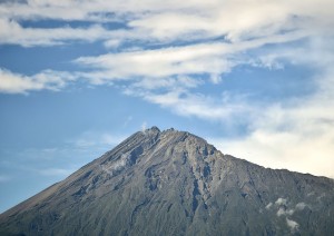 Arrivo In Tanzania - Arusha (circa 1h).jpg